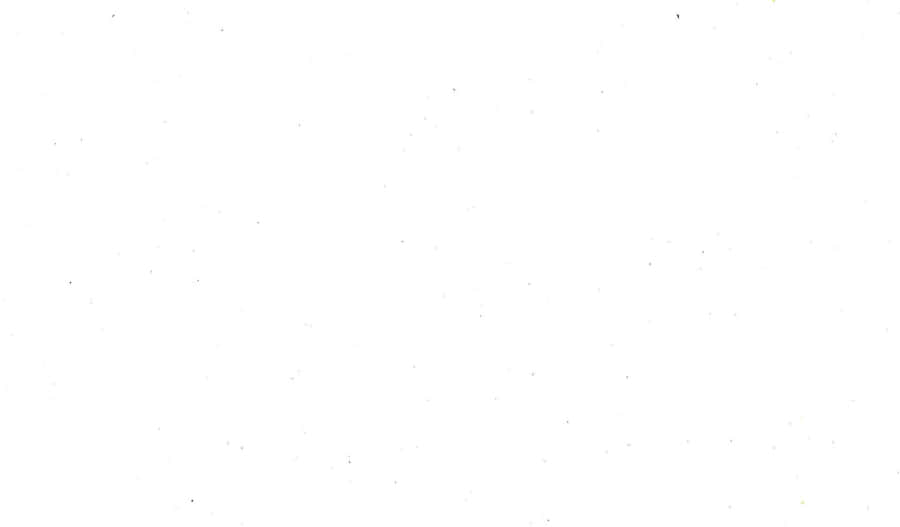 blank white background